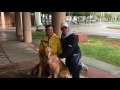 Golden Girls Ellie & Penny Owner Testimonial Golden Girls Ellie & Penny Owner Testimonial