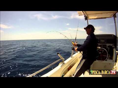 Appena toccato il fondo ed è già cattura. SI'. E' un dentice!