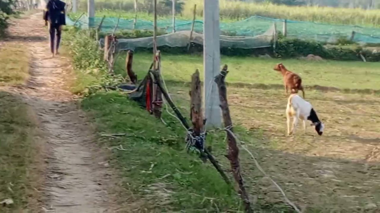 New block Target 10k subscribe karo 😂🎯🎯🎯☠️🎯