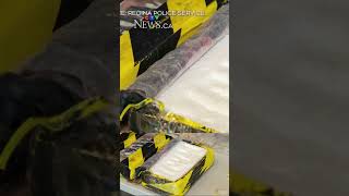 Four charged after $650K drug bust across Sask. and Manitoba