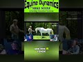 Rehabbing Fonzie: Navicular Bone Secrets & Horse Training Tips! #shorts