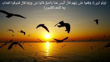 تلاوة جميلة ما تيسر من سورة الأنعام