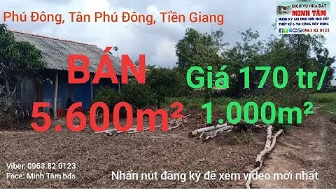 DVNĐ 156 - Đất vườn 5.600m², giá 950 triệu, ở Tiền Giang