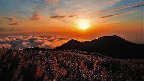 اجمل تلاوة لسورة يوسف رقق قلبك وطيب مسامعك