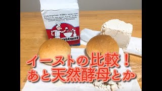 【比較】イーストの違いで焼きあがるパンも変わるのか？あと天然酵母について