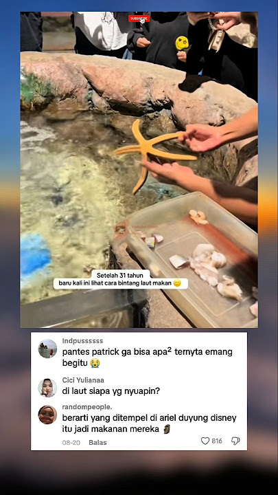 Baru Tau Cara Makan Bintang Laut,Ternyata Begini 😆 #trending #viral #shorts