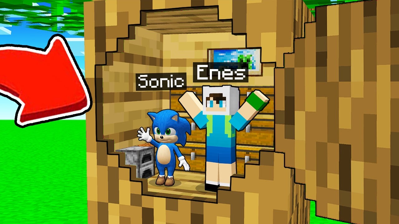 MİNİK ENES VE BEBEK SONİC AĞACIN İÇİNE EV YAPTI 😱 Minecraft