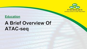 A Brief Overview Of ATAC-seq