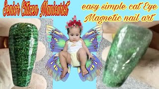 Easy Simple Cat Eye Magnetic Nail Art Design Senior Citizen Manicurist.