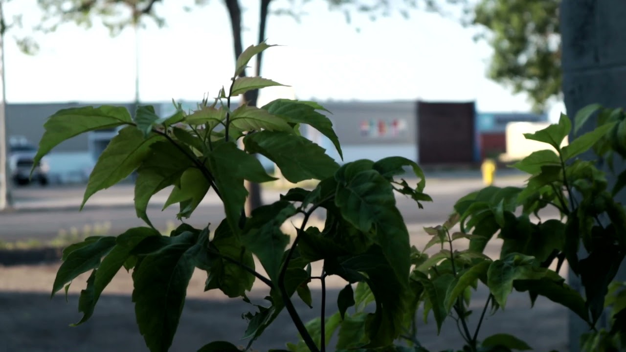 K.L.B. - Writer's Block (Music Video)