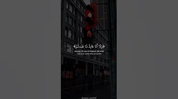 {قل يا أيها الكافرون} - سورة الكافرون