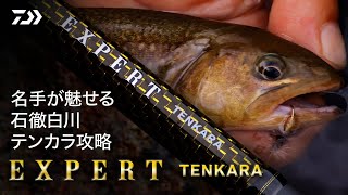 【渓流解禁】名手が魅せる石徹白川テンカラ攻略【EXPERT TENKARA】