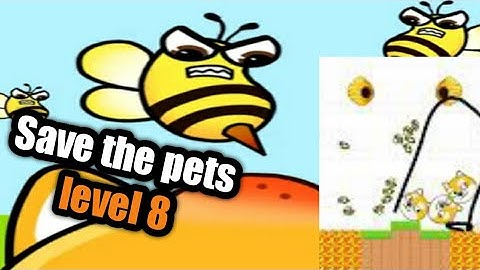 save the pets level 8 walkthrough Solution gameplay