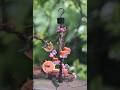 Hovering. Drinking. Staying perfectly still 💚 #birds #hummingbird #nature #shorts #shortsviral #fypシ