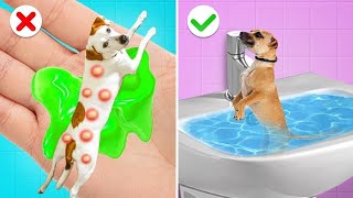 Resgate Extremo de Animais no Hospital || Objetos e Truques Úteis para Pets por Gotcha!
