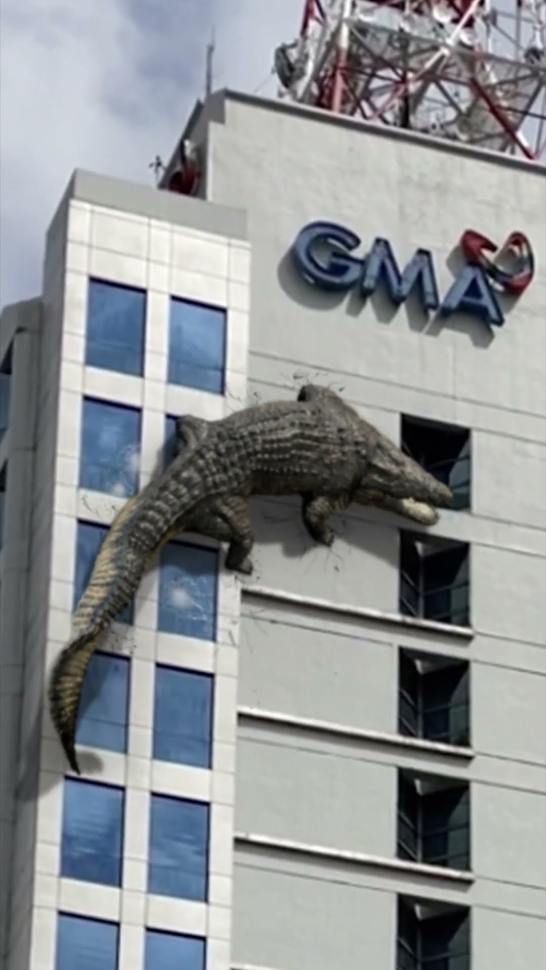 Lolong: Bayani ng Bayan: Daks is back!
