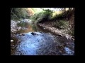 イシガメ用の水槽と濾過器を作ってみた。(濾過器強化編ver.2)