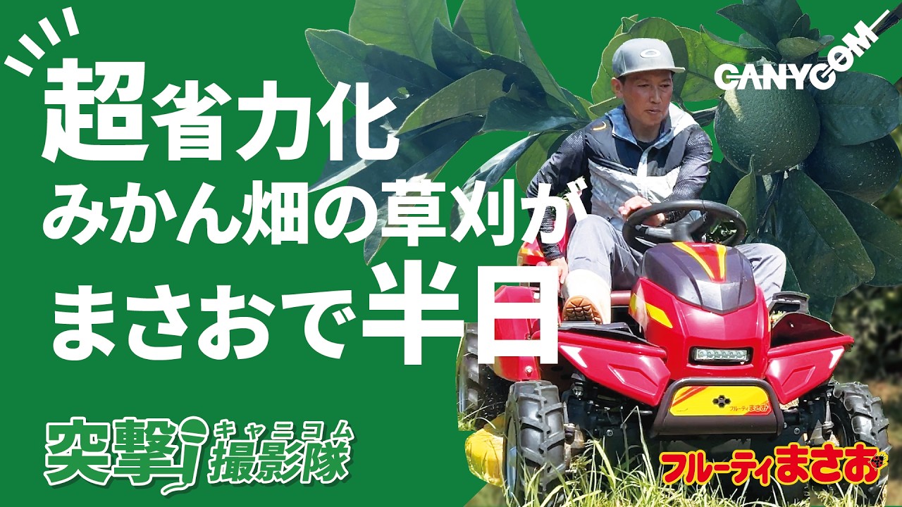 みかんづくりの現場に聞く！草刈機まさお、どうですか？河内晩柑の吉田