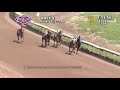 Genesee Valley Breeders 2019