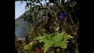 Sara Shrishti composed by Kiran Kumar Pradhan