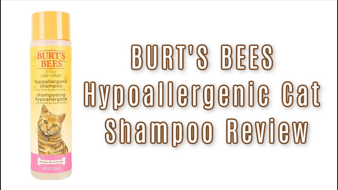 burt's bees hypoallergenic cat shampoo