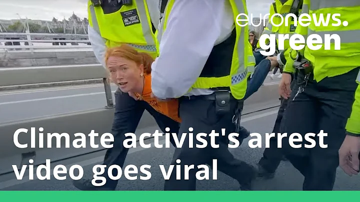 For my son: Just Stop Oil protester whose arrest w...