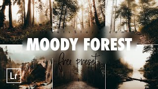 Moody Forest — Mobile Preset Lightroom DNG | Tutorial | Download Free | Forest Photo | Moody Preset screenshot 5