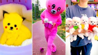 Cute Pomeranian Puppies Doing Funny Things #11 | Cute and Funny Dogs 2024 - VN Pets by VN Pets 25,672 views 1 month ago 10 minutes, 1 second