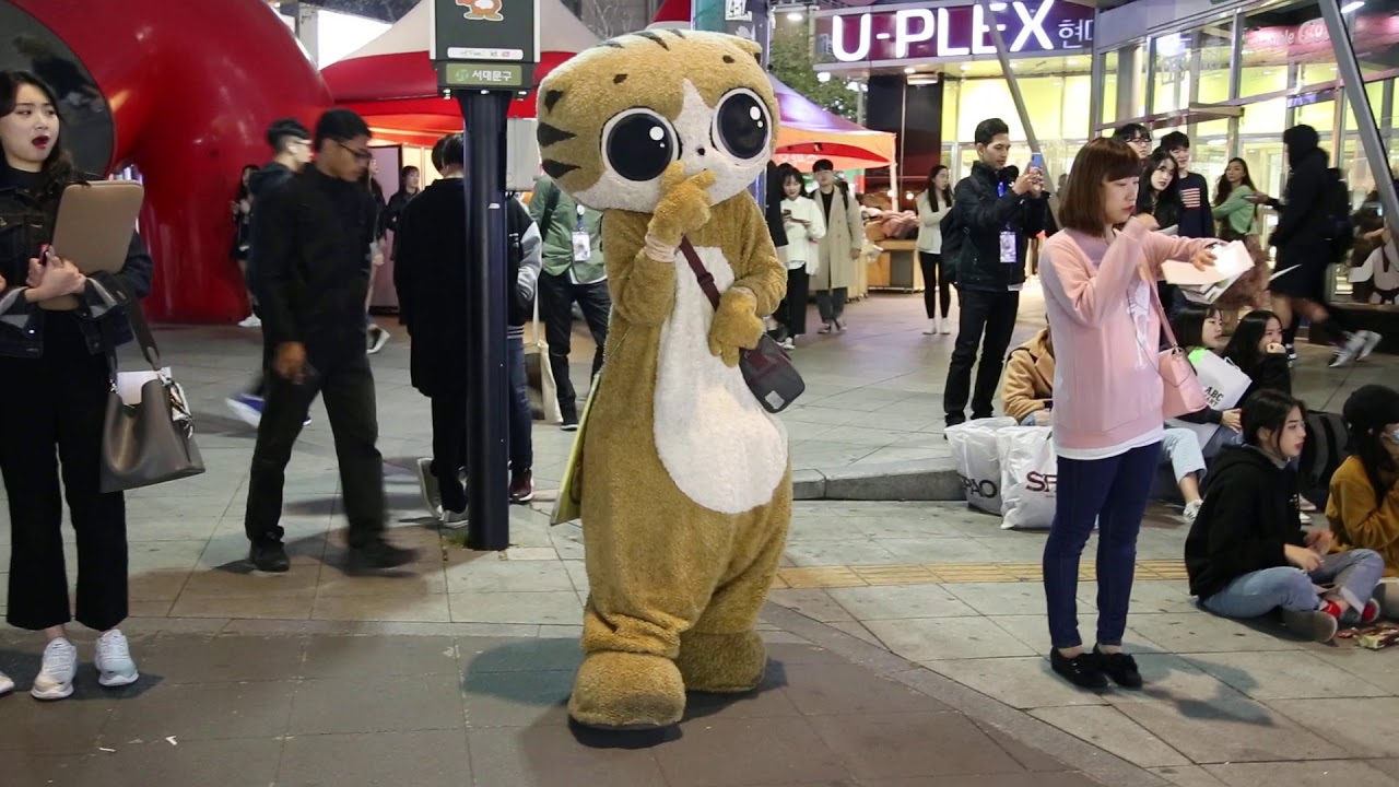 JHKTV] shinchon special cat dance Cat brother 신촌명물고양이댄스고양이 오빠