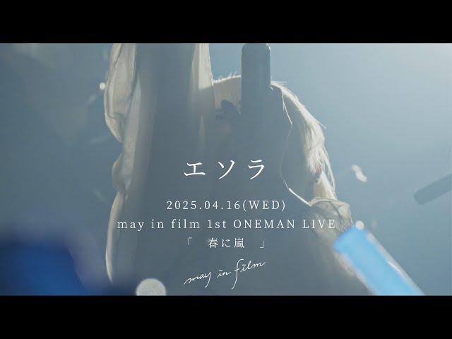 エソラ / may in film (Live Movie) at 1st ONEMAN LIVE”春に嵐”