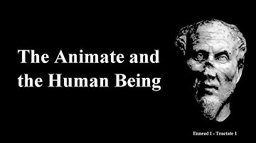 Ennead 1.1 - THE ANIMATE & THE HUMAN BEING