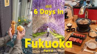 Celebrity 6 days in Fukuoka 🇯🇵 福岡 (best local food, yufuin roadtrip, aesthetic cafes) | japan trip | part 2 Wealth