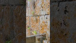 otra hermosa #arquitectura Castillo de #Andrade #galicia 🤗