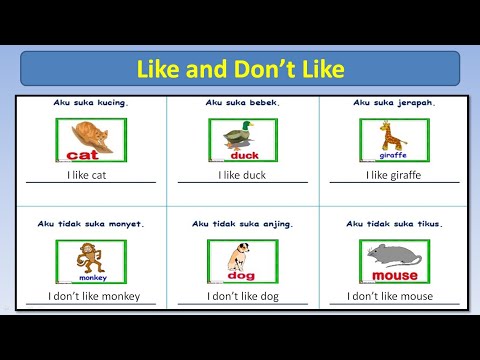 Learn English - Like and Don't Like