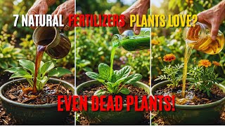 Even Dead Plants Come Back to Life! Use These 7 Natural Fertilizers That Work Instantly