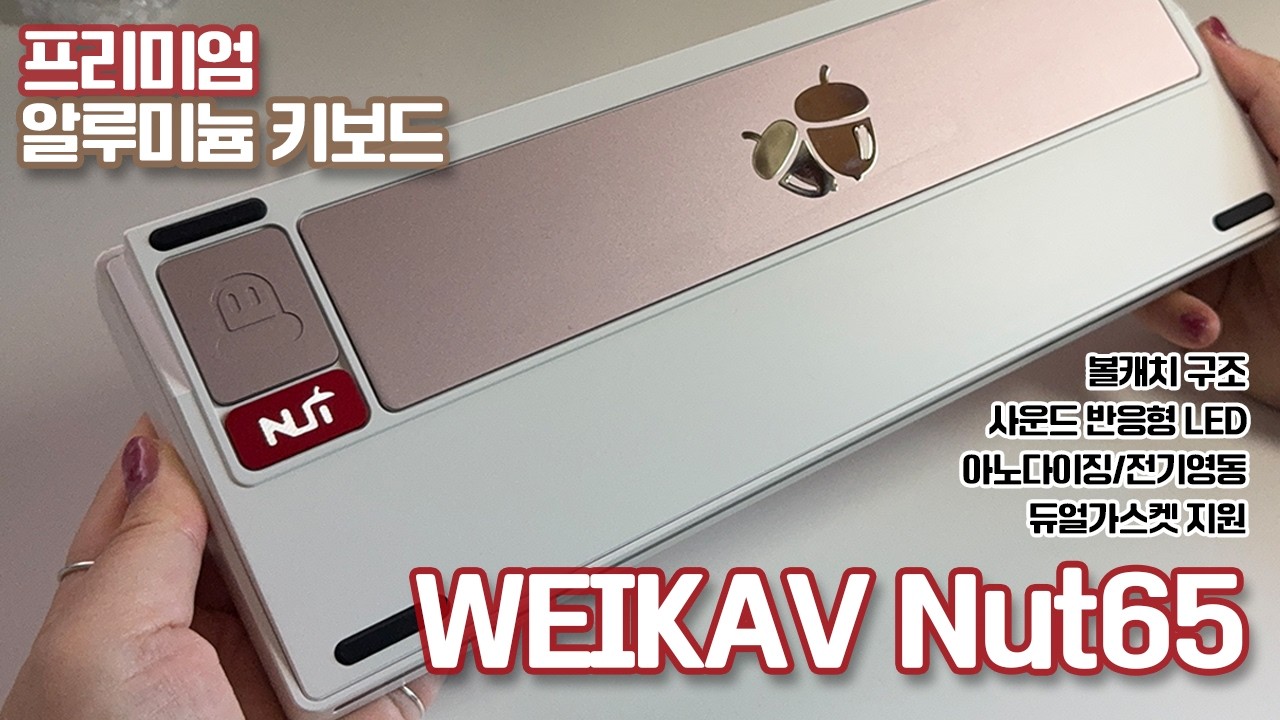 겨울잠 자는 다람쥐 도토리 훔쳐다 만들어서 질문 못받는다 WEIKAV Nut65