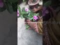 #barish#naturelover#flowers#beautifulnature#barishstatus#nature#naturelover#beauty#nature
