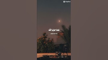 غض البصر 🍓 #آيات_الله #اكسبلور #الذكر #القرآن_الكريم #تيك_توك #تلاوة_القرآن #ترند #تقوى_الله