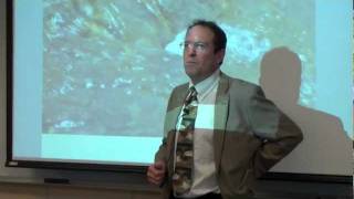 Seth Itzkan at Fletcher - Reversing Desertification and Global Warming with Livestock - Part 1