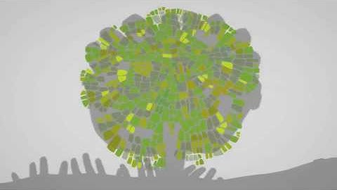 Capacity Development  Spot