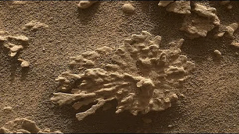 Did NASA Just Find Corals on Mars? Curiosity’s Shocking Discovery!