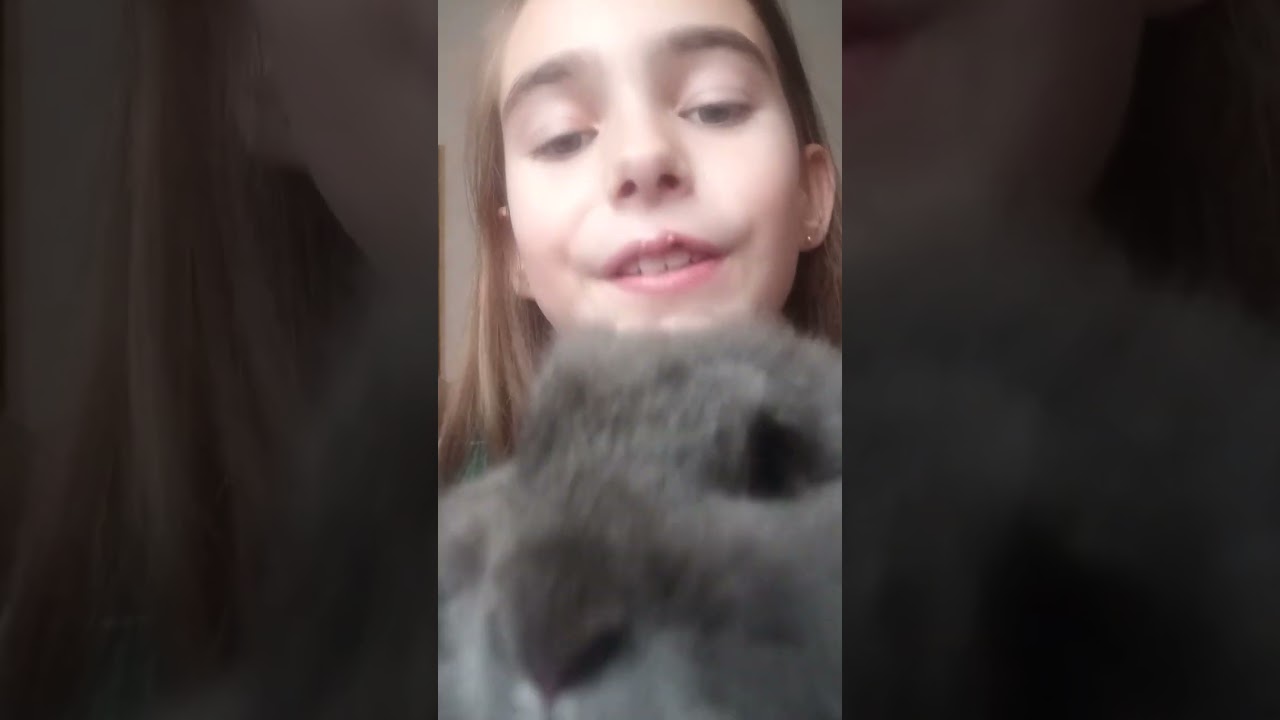 presentando ami conejo