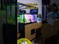 حوض سمك 80 سم ب15 سمكة يصلك لاي مكان قاهره او جيزة فقط Fishtank 