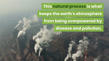 Nature uses a process called Titanium Dioxide Photocatalysis