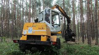 MECALAC IN THE WOODS