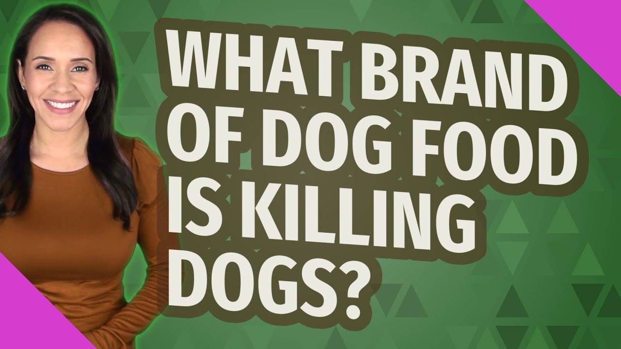 What brand of dog food is killing dogs? YouTube
