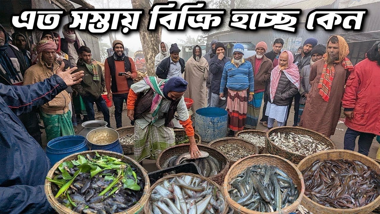 এর আগে এত সস্তায় বিক্রি হই নাই বিলের মাছ! Village fish market dohar dobli bazar | Dohar Fish