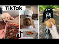 Funny Dogs of TikTok Compilation ~ Cutest Puppies TIK TOK