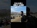 日本の桜の森を見て感激する韓国人