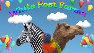 White Post Farms - A great day of fun at White Post Farms in Melville, New York